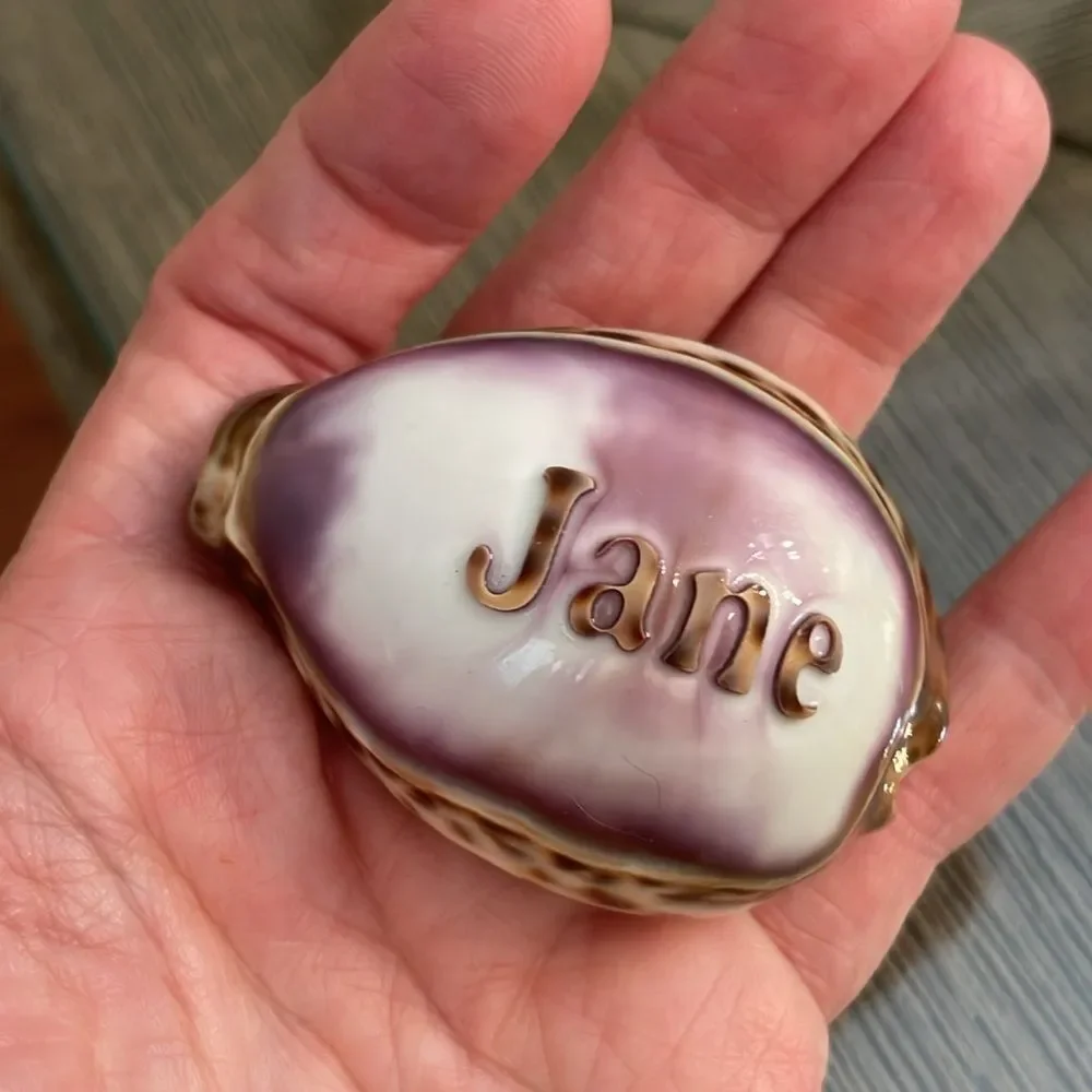 Vintage Engraved Tiger Cowrie Shell With “Jane” & Dolphin Pendant